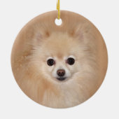 Pommeren Keramisch Ornament (Achterkant)