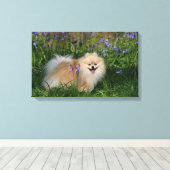 Pommeren kijken naar camera canvas afdruk (Insitu (Houten vloer))