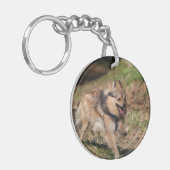 Pommeren met Harness op Sleutelhanger (Voorkant Links)