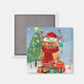 Pommeren met kerstcadeautjes magneet (Voorkant / Achterkant)