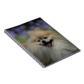 Pommeren Panting Notitieboek (Rechterzijde)