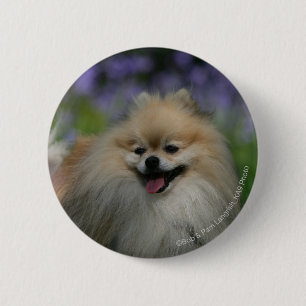 Pommeren Panting Ronde Button 5,7 Cm