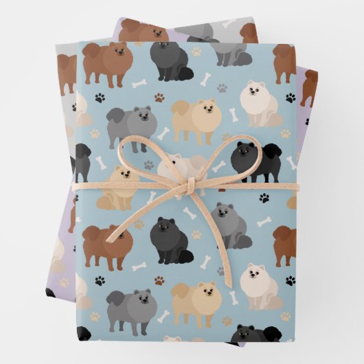 Pommeren Paw-prints en honden-Botten Inpakpapier Vel (In situ)