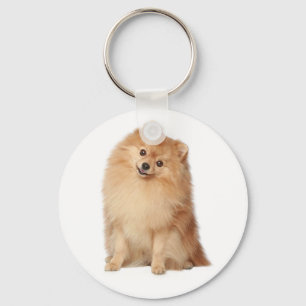 Pommeren Pom Pom Puppy Dog Sleutelhanger