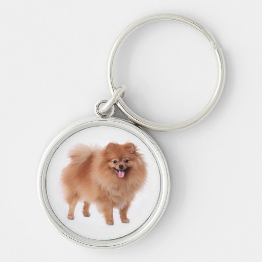 Pommeren Pom Pom Puppy Dog Sleutelhanger (Voorkant)
