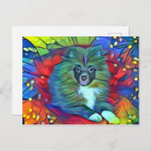 Pommeren Post Card Briefkaart (Voorkant / Achterkant)