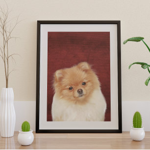 Pommeren Poster Perfect Poster