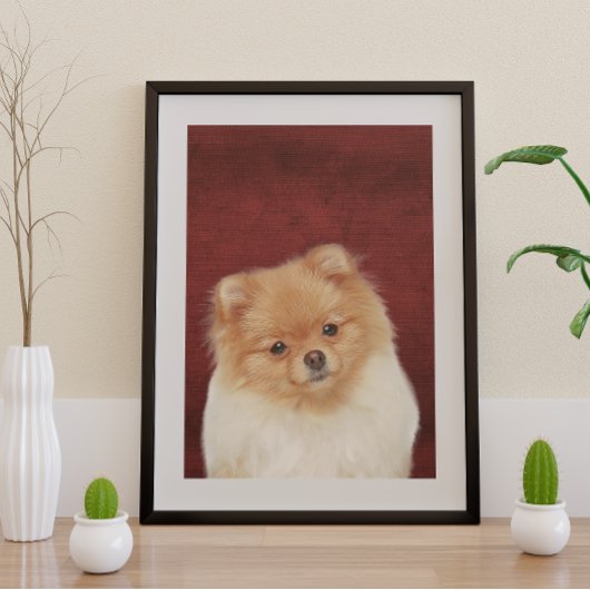 Pommeren Poster Perfect Poster
