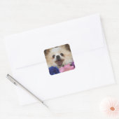 Pommeren Rescue Dog Sticker (Envelop)