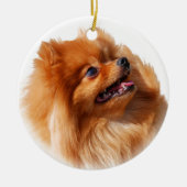 Pommeren Spitz Keramisch Ornament (Voorkant)