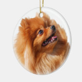 Pommeren Spitz Keramisch Ornament (Links)