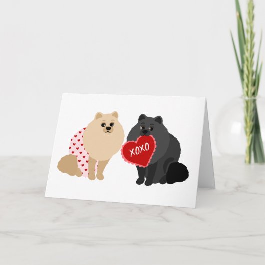 Pommeren Valentijnsdag Holiday Kaart (Voorkant)