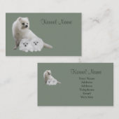 Pommeren Visitekaartje (Voorkant / Achterkant)