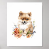 Pommeren Waterverf Puppy Pet Poster (Voorkant)