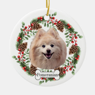 Pommerische hond keramisch ornament