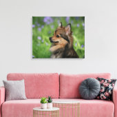 Pommerische hoofdopname canvas afdruk (Insitu (Woonkamer))