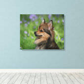 Pommerische hoofdopname canvas afdruk (Insitu (Houten vloer))