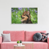 Pommerische hoofdopname canvas afdruk (Insitu (Woonkamer))