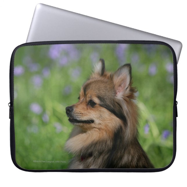 Pommerische hoofdopname laptop sleeve (Voorkant)