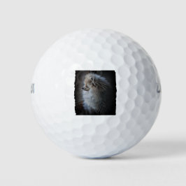 Pommerische puppy golfballen