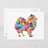 Pommern Briefkaart (Voorkant / Achterkant)