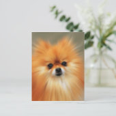 Pommern Briefkaart (Staand voorkant)