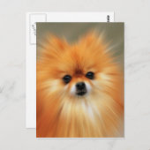 Pommern Briefkaart (Voorkant / Achterkant)