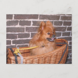 Pommern Briefkaart