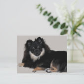 Pommern Briefkaart (Staand voorkant)