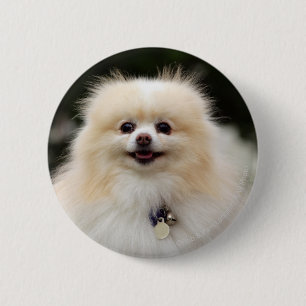 Pommern Headshot 1 Ronde Button 5,7 Cm
