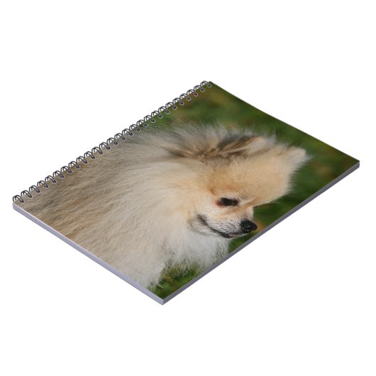 Pommern Headshot 2 Notitieboek (Linkerzijde)