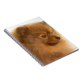 Pommern Notitieboek (Rechterzijde)