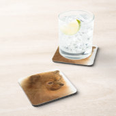 Pommern Onderzetter (Rechterzijde)