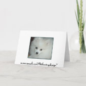 Pommerse feestkledij ~ Verjaardag Kaart (Achterkant)