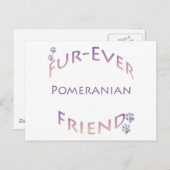 Pommerse Furever Briefkaart (Voorkant / Achterkant)