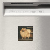 Pommerse Hond Art Magnet Magneet (Insitu (Vaatwasser))