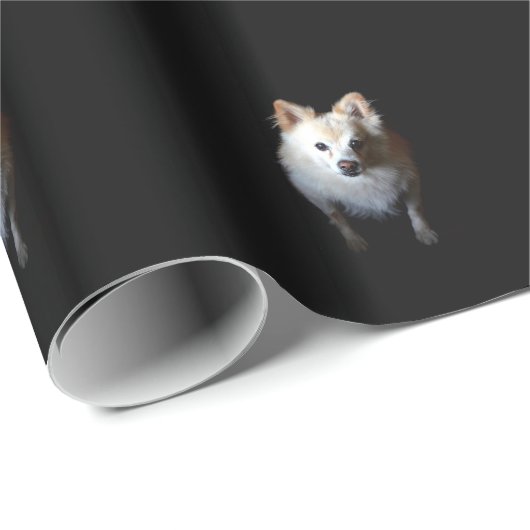 Pommerse hond in het donker cadeaupapier (Rol Hoek)