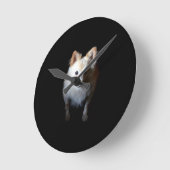 Pommerse hond in het donker ronde klok (Hoek)