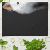 Pommerse hond in het donker theedoek (Gevouwen)