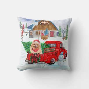 Pommerse hond in kerstcadeauwagen kussen