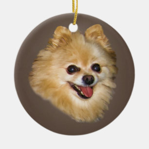 Pommerse hond op bruine sierplant keramisch ornament