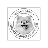 Pommerse Hond Pet Foto Rond Rubberstempel (Afrduk)