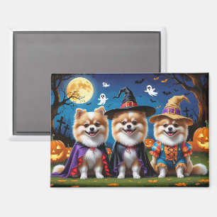 Pommerse Honden Pompoen Halloween Grappig Magneet