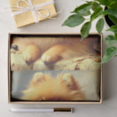  Pommerse hondenschildering Tissuepapier (Geschenk)