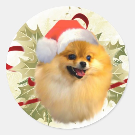 Pommerse Kerst stickers (Voorkant)