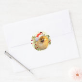 Pommerse Kerst stickers (Envelop)