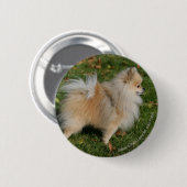 Pommerse Permanente Ronde Button 5,7 Cm (Voorkant /achterkant)