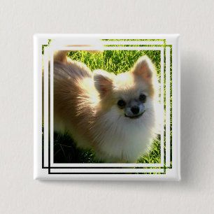 Pommerse Puppies Pin Vierkante Button 5,1 Cm