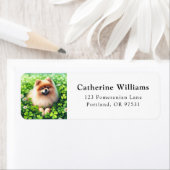 Pommerse St. Patrick's Day Retouradres Etiket (Insitu)