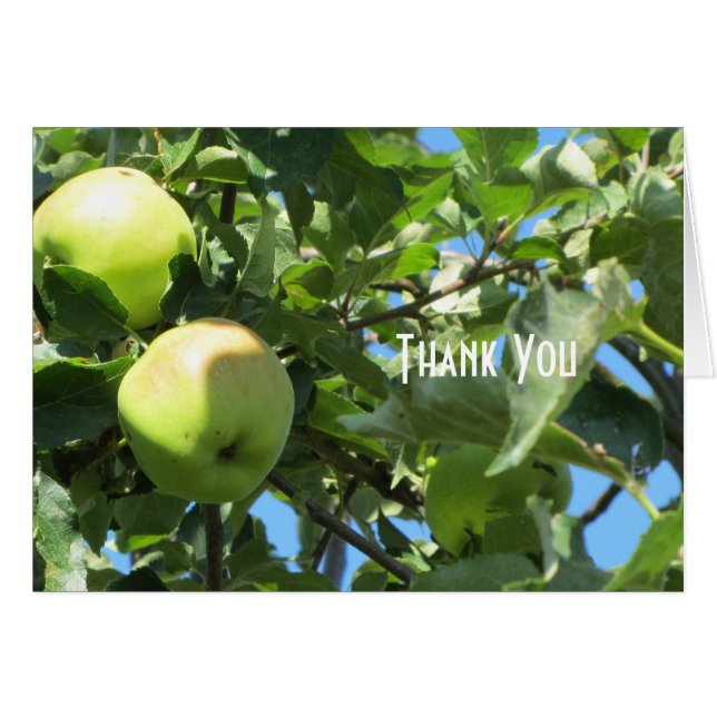 Pommes d'été (Devant Horizontal)